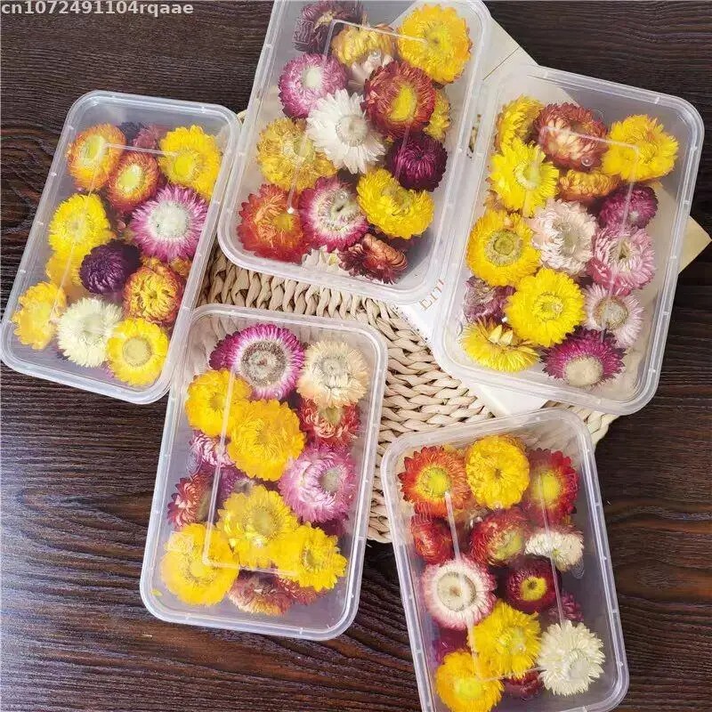 100% Natural Dried Flowers Bra - огляд і ціна Candle Making Material Wholesale