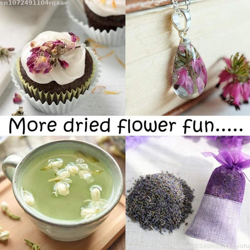 100% Natural Dried Flowers Bra - огляд і ціна Candle Making Material Wholesale